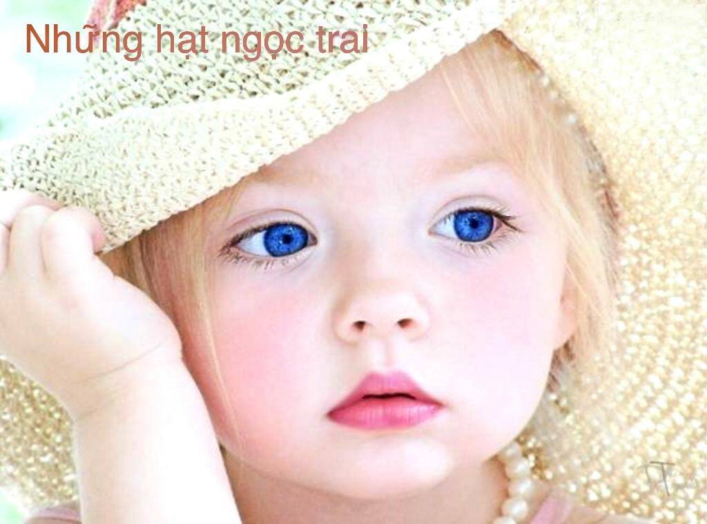 NHỮNG HẠT NGỌC TRAI