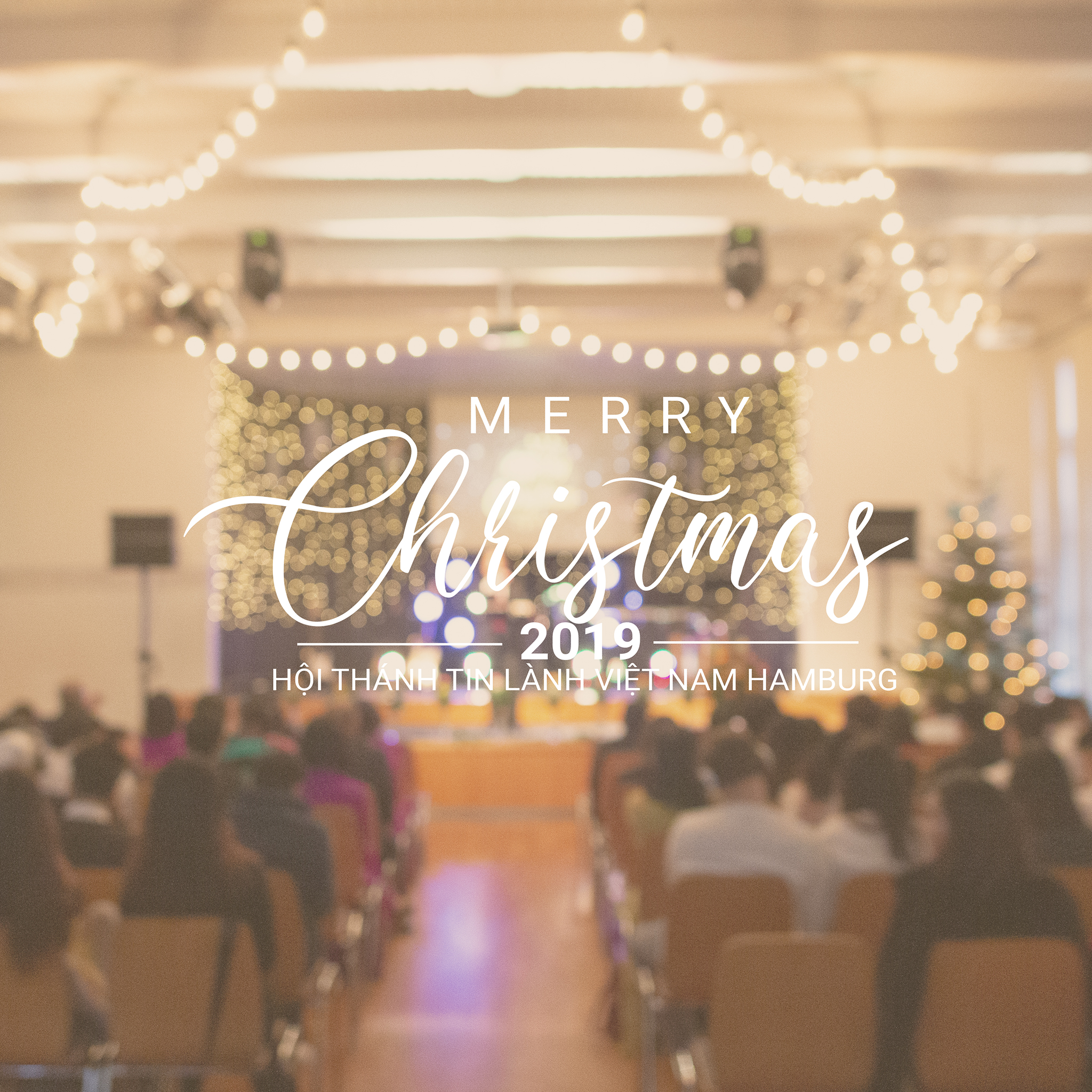 Hình Ảnh Giáng Sinh 2019: MÙA SAO SÁNG