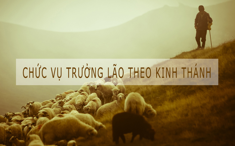 ISOM Cấp 5 - Chức Vụ Trưởng Lão Theo Kinh Thánh