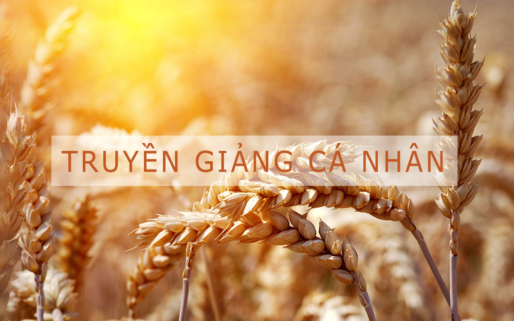 ISOM Cấp 4 - Truyền Giảng Cá Nhân